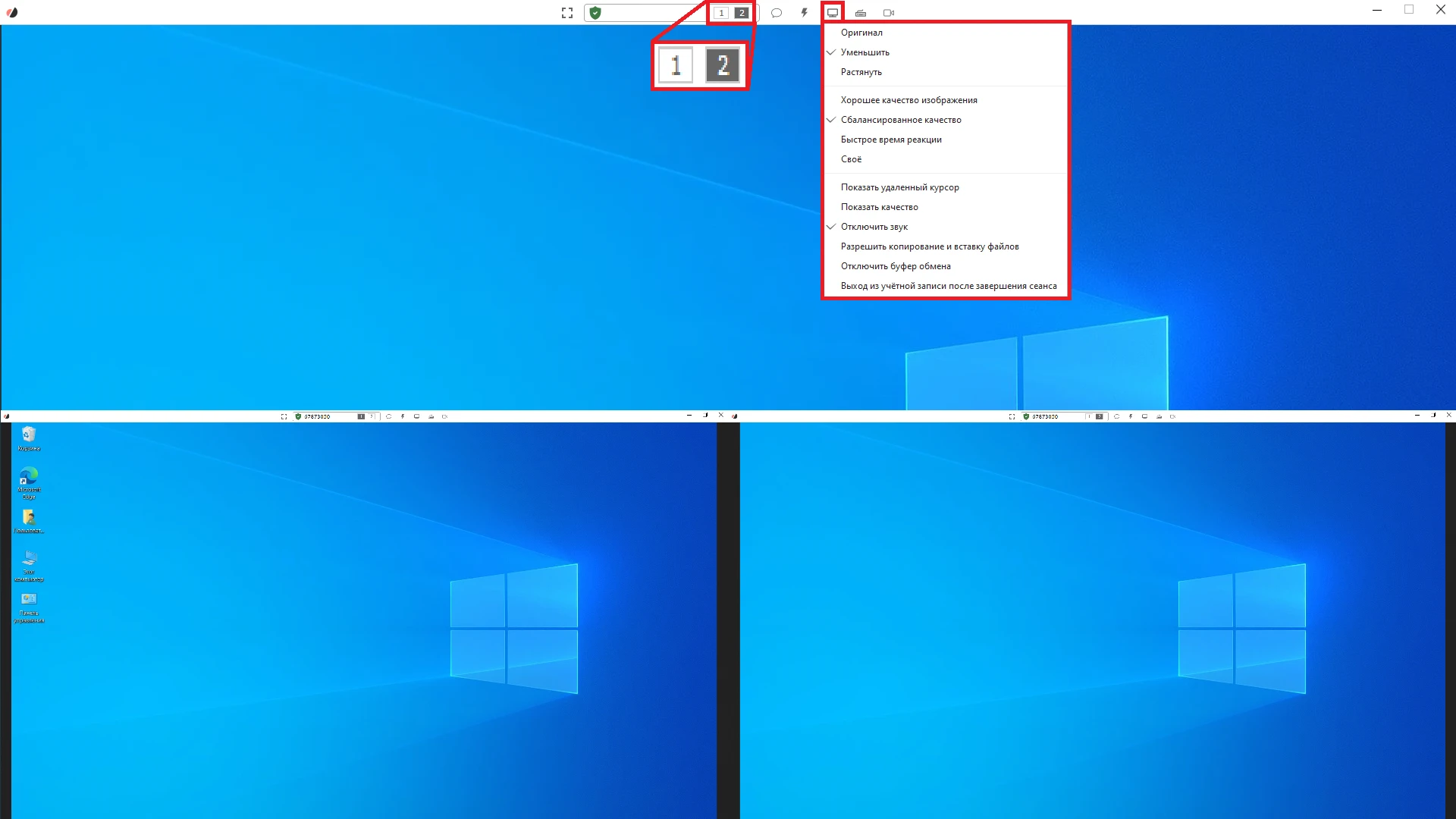 Скриншот RuDesktop 12