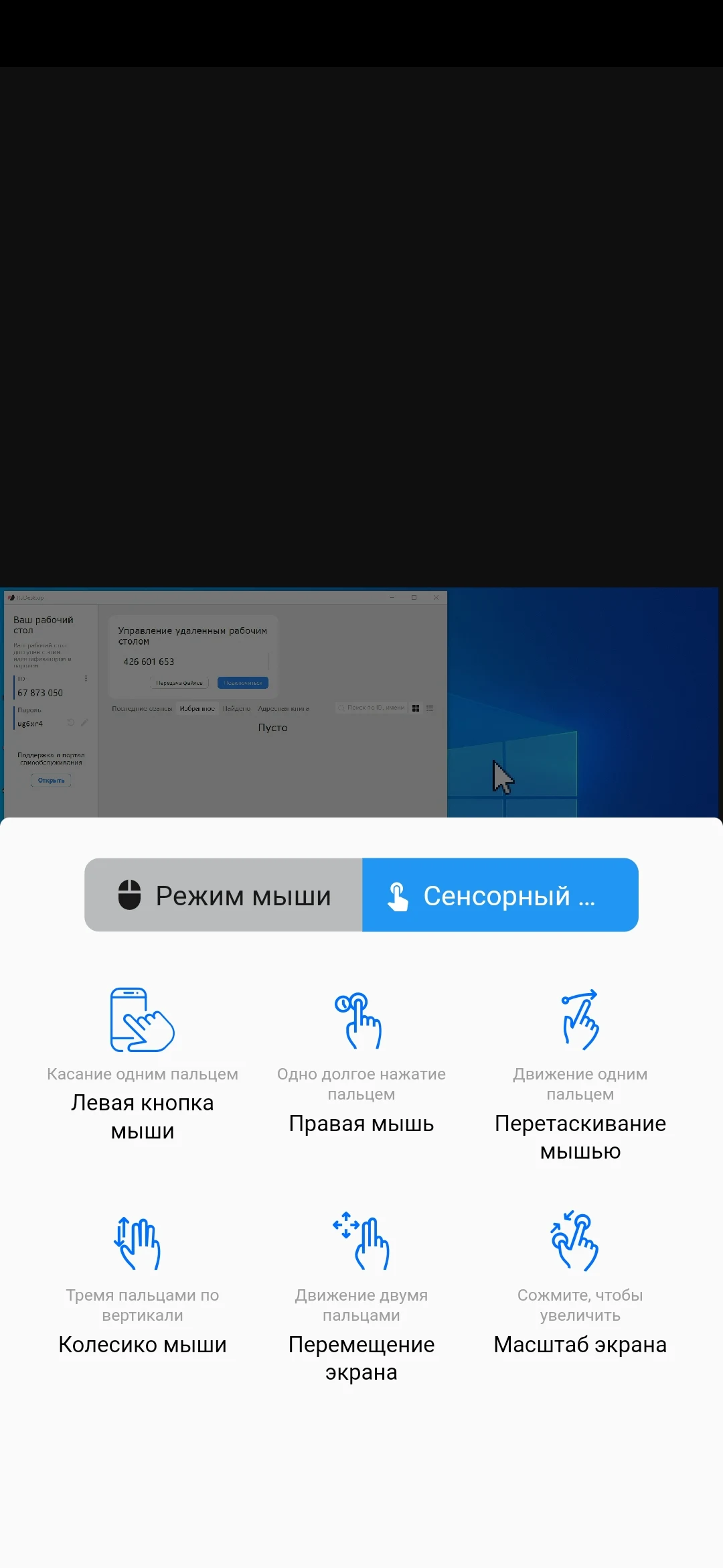 Скриншот RuDesktop 3