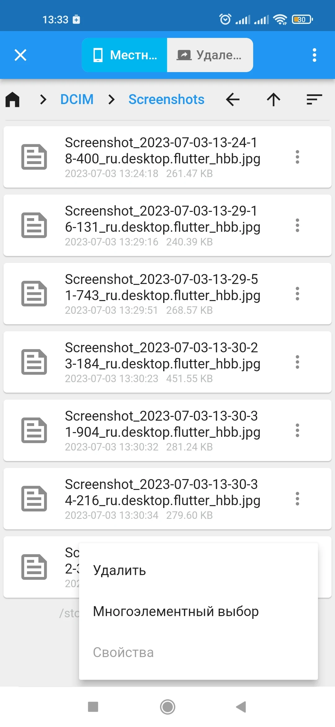 Скриншот RuDesktop 1